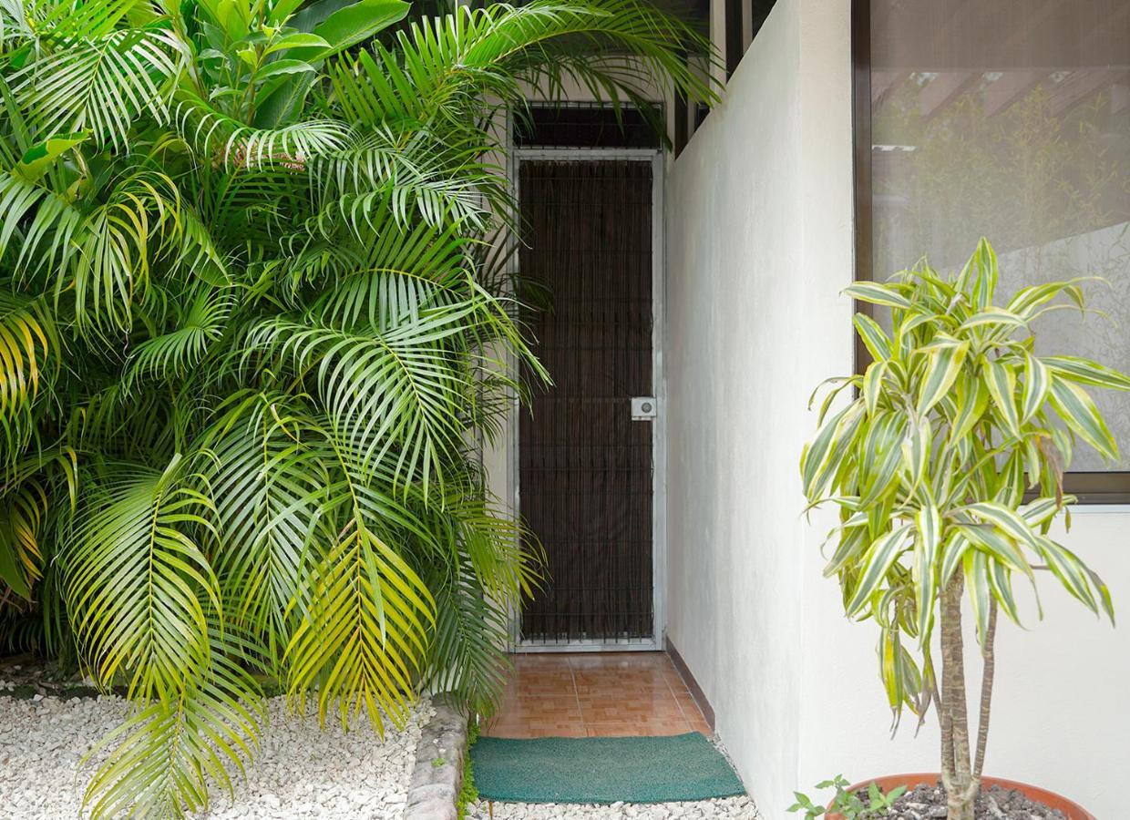 Apartamentos Y Studios Brisas Del Mar Santa Teresa Playa Santa Teresa  Extérieur photo