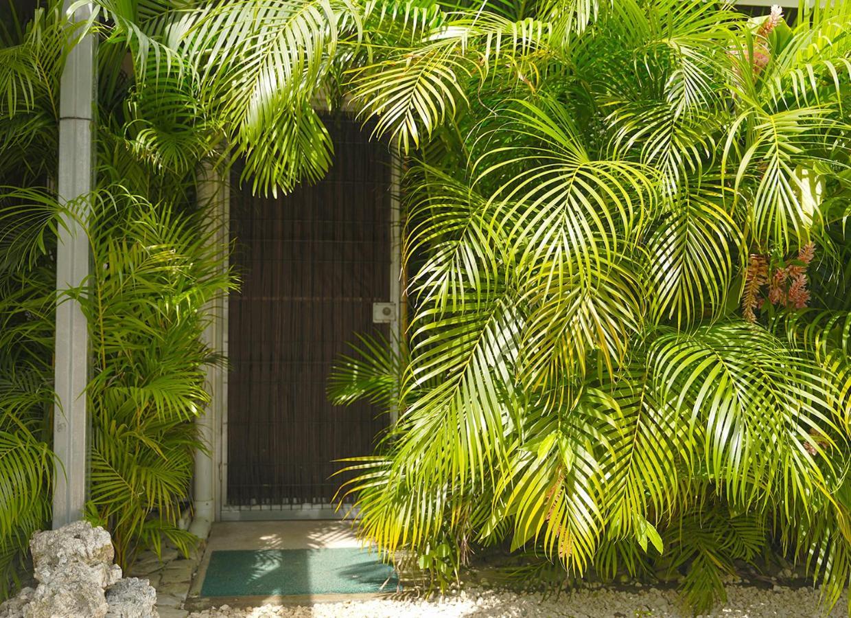 Apartamentos Y Studios Brisas Del Mar Santa Teresa Playa Santa Teresa  Extérieur photo